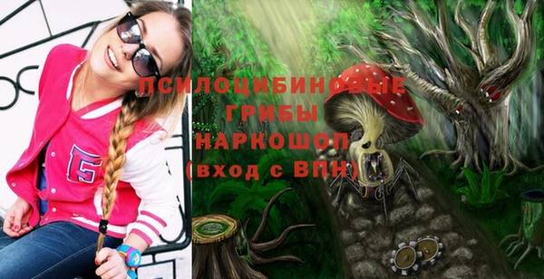 крисы Балахна