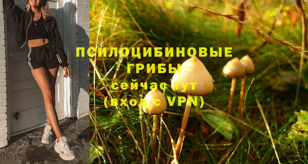 ECSTASY Балабаново