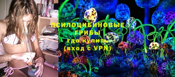 крисы Балахна
