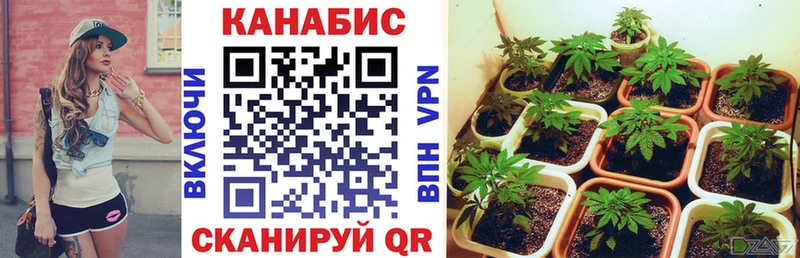 Бошки Шишки THC 21% Николаевск-на-Амуре